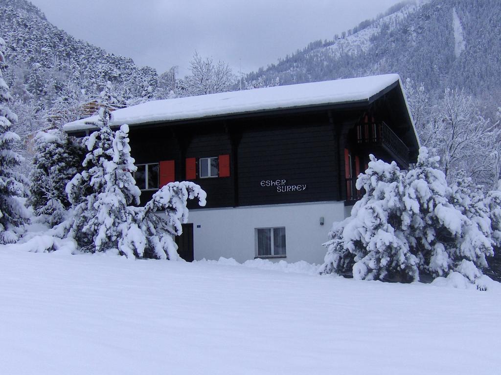 Chalet Esher Surrey Ried-Brig Bilik gambar